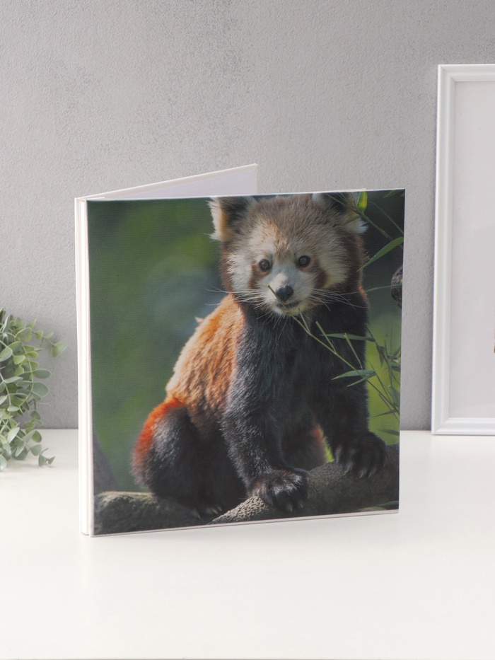 Фотоальбом магнитный на 20 листов «Красная панда», кожзам, в коробке, 2.6×32×33.5 см - Фото 1