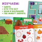 Книжки с наклейками набор «Большие кружочки», 4 шт. по 10 стр., 120 стикеров - Фото 3