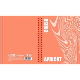 Тетрадь 96л кл на гребне Apricot, обл мел карт, блок офсет МИКС