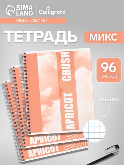 Тетрадь 96 листов в клетку, на гребне, Apricot, МИКС