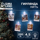 УЦЕНКА Гирлянда «Нить» 4.5 м с насадками «Прищепки-ёлочки», IP20, прозрачная нить, 20 LED, свечение белое, 220 В 10861286 - фото 3698280