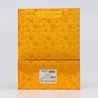 Пакет голография с окном, «Золотой», S 23.5 ×18 × 8.5 см набор 1 шт. 10851659