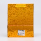 Пакет подарочный голография с окном «Сердце», «Золотой», S 23.5×18×8.5 см набор 1 шт. - Фото 3