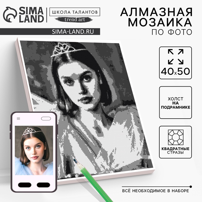 Алмазная мозаика по фото с полным заполнением «Gray», на холсте с подрамником, 40 × 50 см - Фото 1