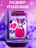 Набор для опытов «Выращивание кристаллов», фигурка: зайка - Фото 2