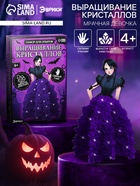 Набор для опытов «Выращивание кристаллов», фигурка: мрачная девочка - Фото 1