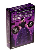 Набор для опытов «Выращивание кристаллов», фигурка: мрачная девочка - Фото 7