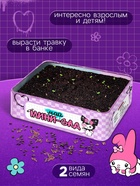 Набор для опытов Эврики «Мой мини сад», куроми - Фото 3