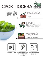 Семена Базилик «Зелёный ароматный», 0.1 г, среднеранний, «Рецепты дедушки Никиты» - Фото 2