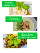 Семена Базилик «Зелёный ароматный», 0.1 г, среднеранний, «Рецепты дедушки Никиты» - Фото 3