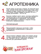 Семена Базилик «Зелёный ароматный», 0.1 г, среднеранний, «Рецепты дедушки Никиты» - Фото 4