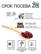 Семена Бобы "Русские черные", 2 г - Фото 2