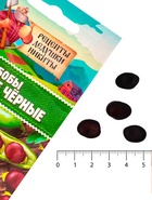 Семена Бобы "Русские черные", 2 г - Фото 4