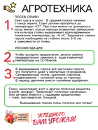 Семена Горох сахарный "Детский", 5 г - Фото 4