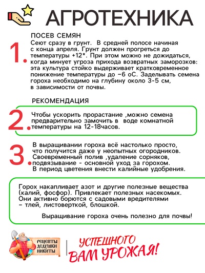 Семена Горох сахарный «Детский», 5 г, «Рецепты дедушки Никиты»