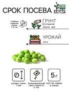 Семена Горох сахарный "Рафинад", 5 г - Фото 2