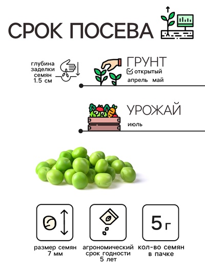 Семена Горох сахарный «Рафинад», 5 г, «Рецепты дедушки Никиты»