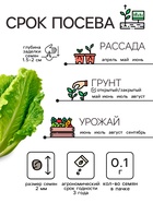 Семена Капуста пекинская "Неженка", 0,1 г - Фото 2