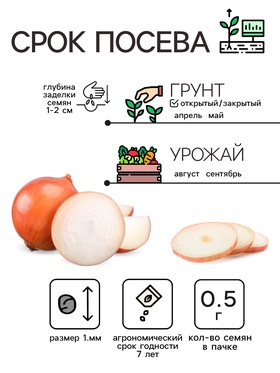 Семена Лук репчатый "Халцедон", 0,5 г (комплект 3 шт)