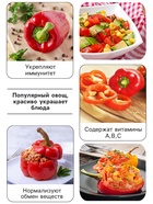 Семена Перец сладкий "Калифорнийское чудо", 0,2 г - Фото 3