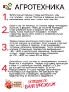 Семена Перец сладкий "Калифорнийское чудо", 0,2 г - Фото 4