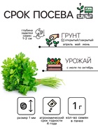 Семена Петрушка "Итальянский богатырь", 1 г - Фото 2