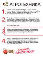 Семена Петрушка "Итальянский богатырь", 1 г - Фото 4