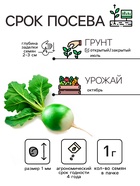 Семена Редька "Маргеланская", 1 г - Фото 2