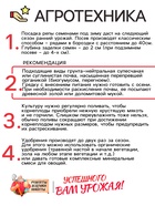 Семена Репа "Петровская 1", 1 г - Фото 4