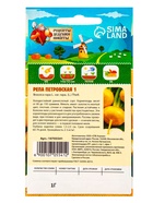 Семена Репа "Петровская 1", 1 г - Фото 6