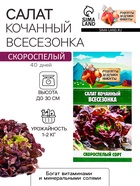 Семена Салат кочанный "Всесезонка", 0,5 г - Фото 1
