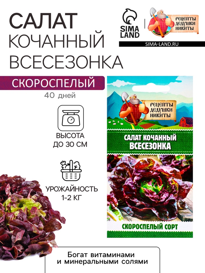 Семена Салат кочанный "Всесезонка", 0,5 г - Фото 1