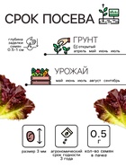 Семена Салат кочанный "Всесезонка", 0,5 г - Фото 2
