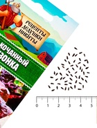 Семена Салат кочанный "Всесезонка", 0,5 г - Фото 5