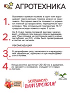 Семена Салат листовой "Московский парниковый", 0,5 г - Фото 4