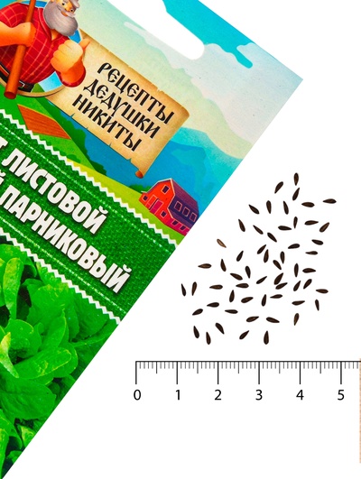 Семена Салат листовой "Московский парниковый", 0,5 г