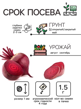 Семена Свекла столовая "Детройт", 1,5 г (комплект 3 шт)