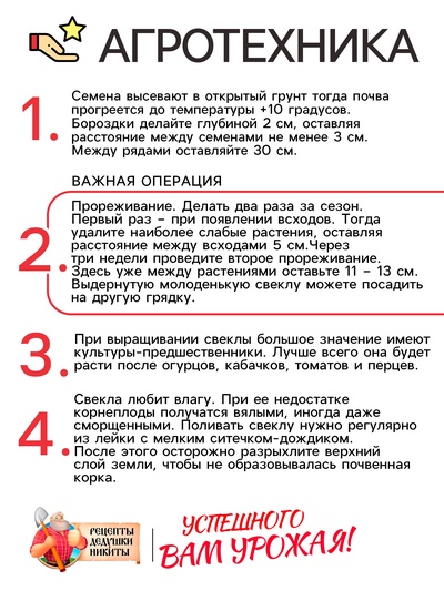 Семена Свекла столовая "Детройт", 1,5 г