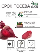 Семена Свекла столовая "Мона", 1,5 г - Фото 2