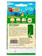 Семена Укроп "Крокодил", 2 г - Фото 6