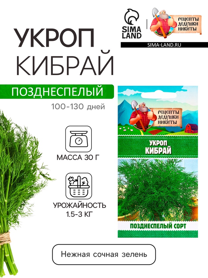 Семена Укроп "Кибрай", 1 г - Фото 1