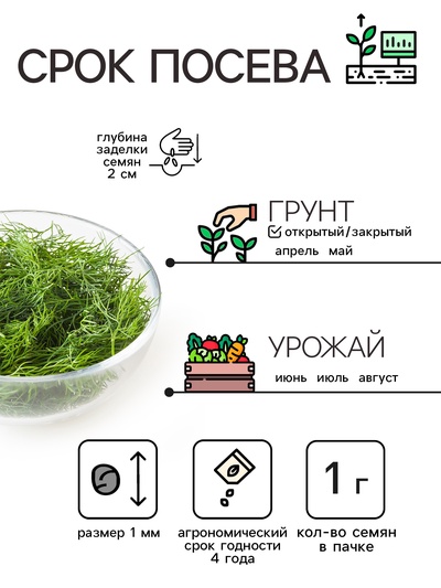 Семена Укроп "Кибрай", 1 г