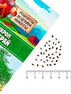 Семена Укроп "Кибрай", 1 г - Фото 5