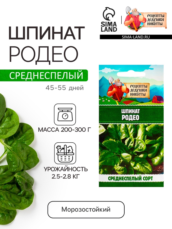 Семена Шпинат "Родео", 2 г - Фото 1