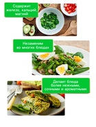 Семена Шпинат "Родео", 2 г - Фото 3