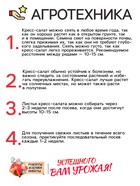 Семена Шпинат "Родео", 2 г - Фото 4