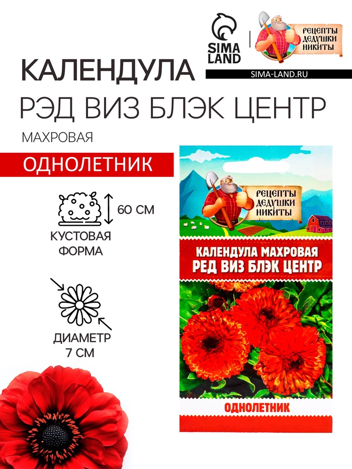 Семена цветов Календула махровая «Ред виз блэк центр», 0.3 г, «Рецепты дедушки Никиты» - Фото 1