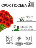 Семена цветов Календула махровая «Ред виз блэк центр», 0.3 г, «Рецепты дедушки Никиты» - Фото 2