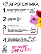 Семена цветов Петуния "Балконная", 0,05 г - Фото 4