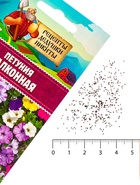 Семена цветов Петуния "Балконная", 0,05 г - Фото 5